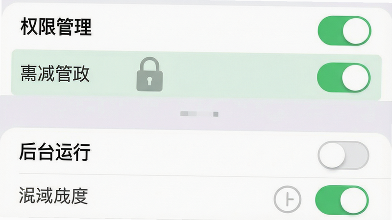 生成一张手机设置界面示意图,主体为“权限管理”和“后台运行”选项列表,布局垂直排列,高亮显示已开启状态,风格扁平化,细节包含开关按钮细节,画质清晰,干净,无多余元素