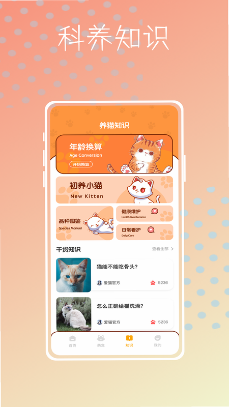 陪猫专注 安卓版 桌面小组件 预览