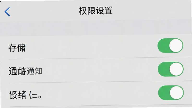 主体为手机设置界面截图风格,布局展示权限管理列表,排版简洁明了,风格为扁平化UI设计,细节显示存储、通知权限开关状态,画质清晰,文字显示