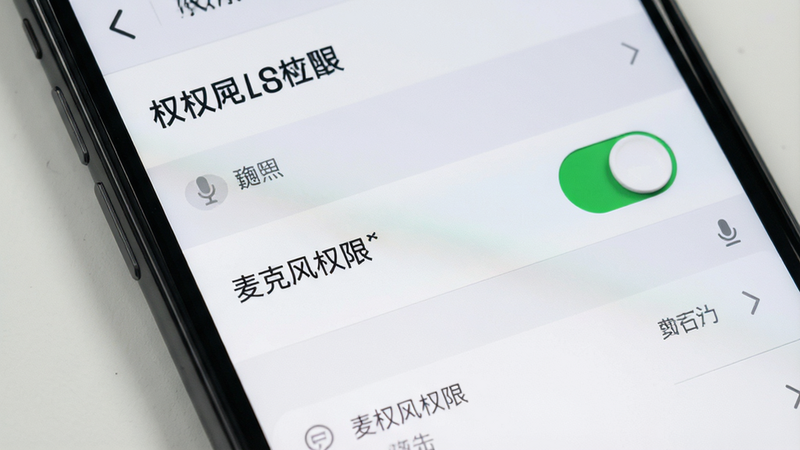 主体为手机设置界面,布局展示权限管理页面,高亮麦克风权限开关,排版清晰,风格系统原生UI,细节真实,画质高清,干净,无多余元素,文字“麦克风权限”