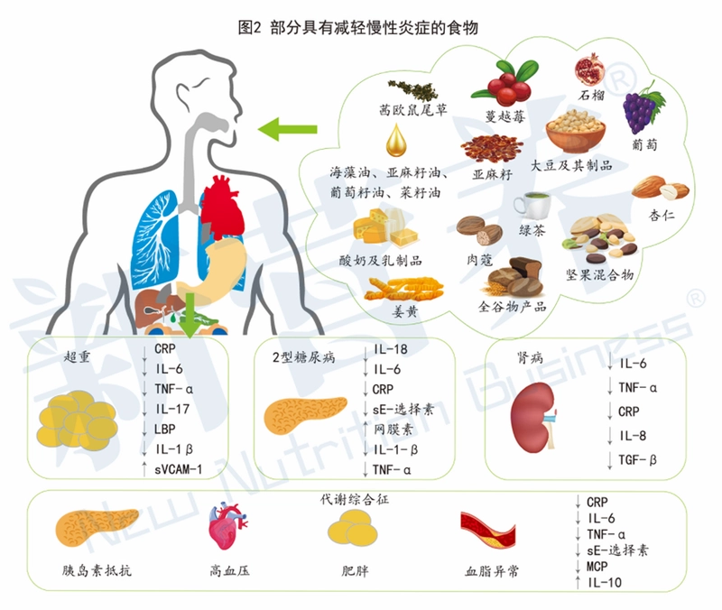 神召大陆截图3