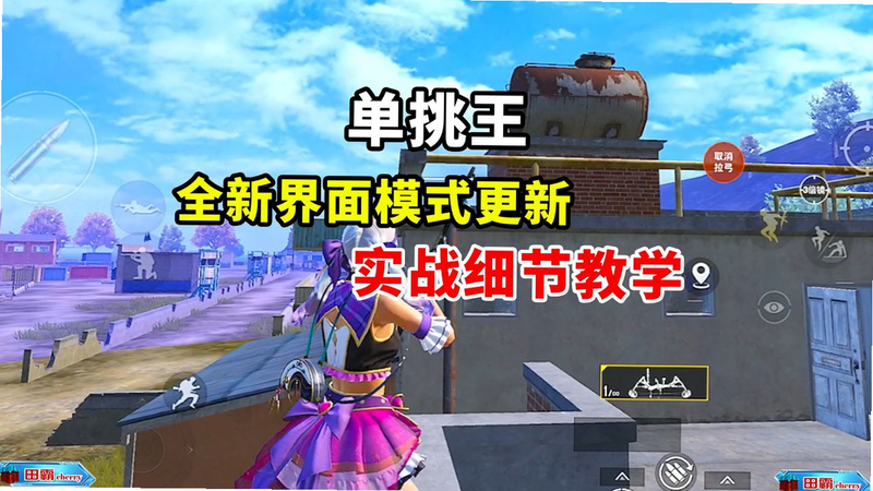 单挑王 安卓版 角色属性表 高清截图