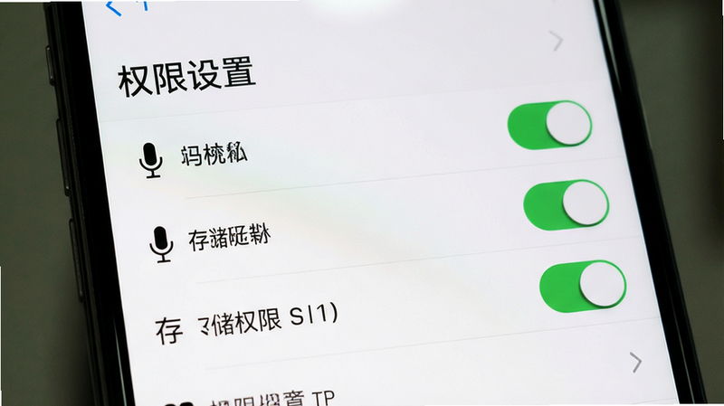 主体为手机设置界面,展示权限管理列表,布局列表式,风格系统原生,细节包含麦克风、存储权限开关状态,文字