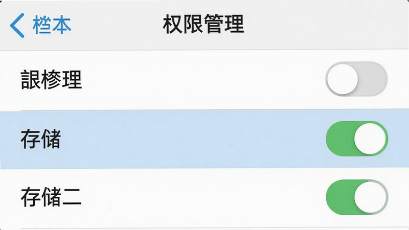 主体为手机设置界面截图,展示“应用权限管理”页面,布局为列表形式,高亮显示“存储”权限开启状态,排版清晰,风格为系统UI截图,细节包含开关按钮与权限名称,画质清晰,干净,无多余元素,文字“权限管理”加引号