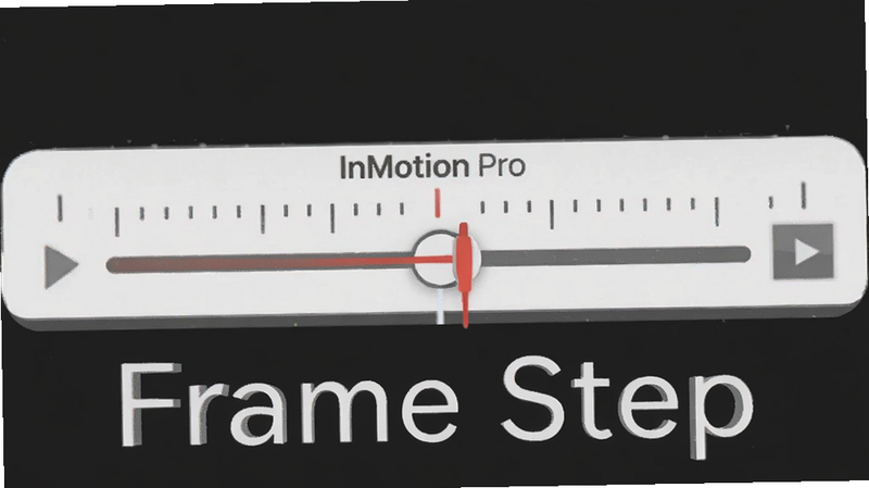 ����ΪInMotion Proʱ�����������д������Ϊ������״�����Ϊ��ƽ����ƣ�ϸ��չʾ�̶����뵱ǰ����λ�õĺ�ɫָ�룬����Ϊ���ɫ�������������޶���װ�Σ����֡�Frame Step������
