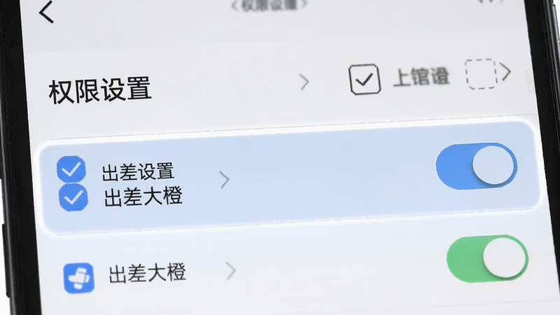 主体为手机设置界面,高亮显示权限管理部分,布局为列表式,风格简洁明了,细节包含勾选框和开关按钮,画质清晰,干净,无多余元素,文字内容包含