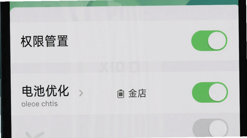 主体为手机设置界面,布局为列表形式,展示“权限管理”和“电池优化”选项,排版为垂直列表,风格为系统原生UI风格,细节包括开关按钮处于开启状态(绿色),画质清晰,干净,无多余元素,文字包含