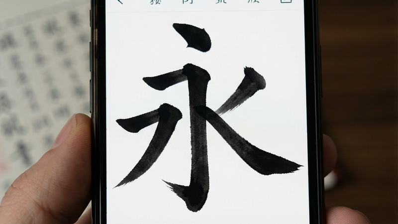 手机界面展示高清字帖细节,主体为局部放大的“永”字或复杂汉字,布局聚焦于笔画结构,排版整齐,风格学术严谨,细节展现笔锋与墨色浓淡,画质高清,干净,无多余元素,alt:硬笔临帖预览图