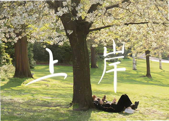 蒙氏语言截图4