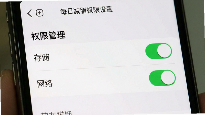 主体为手机设置界面截图,布局聚焦于“权限管理”选项,排版简洁,风格系统原生UI,细节显示“存储”、“网络”权限开关状态,画质清晰,干净,无多余元素,文字“每日减脂权限设置”