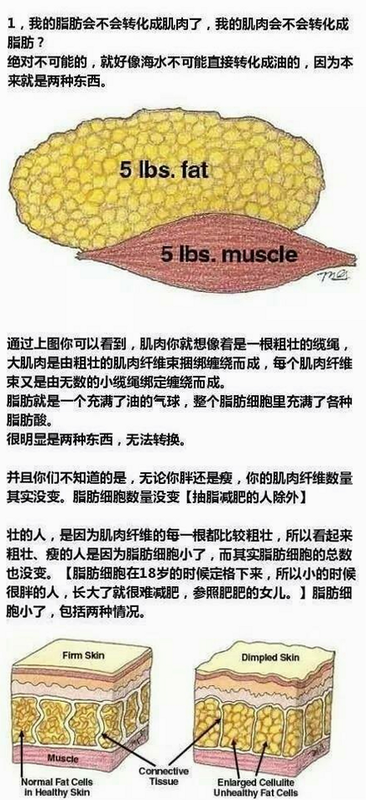 每日减脂 安卓版 科学减脂原理对比图