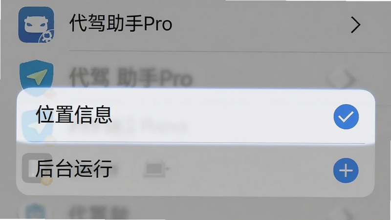 手机设置界面截图,展示代驾助手Pro的权限管理页面,高亮显示