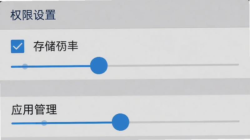 手机设置界面截图,显示存储权限与应用管理选项,背景为灰色,布局清晰,排版标准系统风格,细节包含勾选框与滑动条,画质清晰,干净,无多余元素,文字“权限设置”