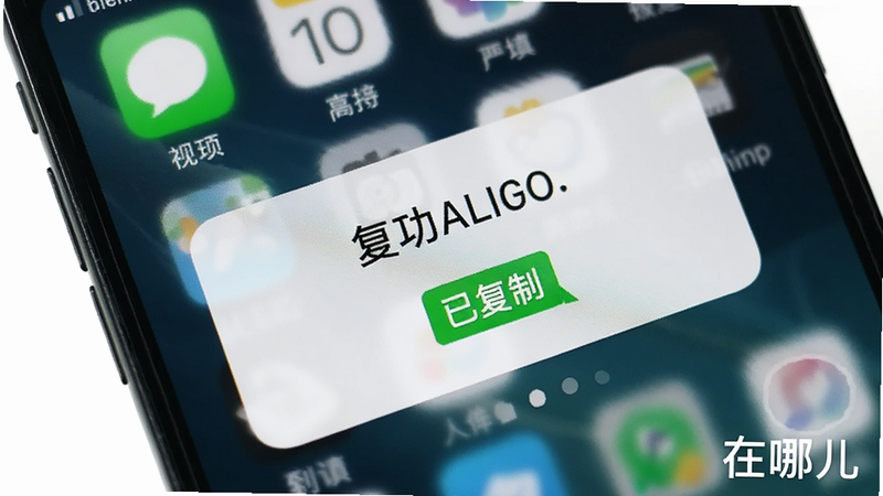 主体为手机屏幕显示复制成功提示,布局中心突出,背景为白色,风格为iOS与Android通用的简洁风,细节包含一个绿色的