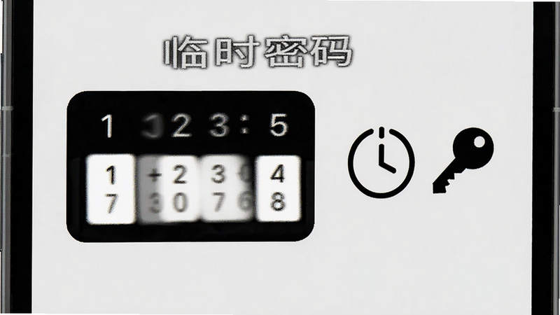 手机界面上显示一个数字密码输入框,旁边有一个倒计时图标和一个钥匙图标,背景为淡灰色,文字显示