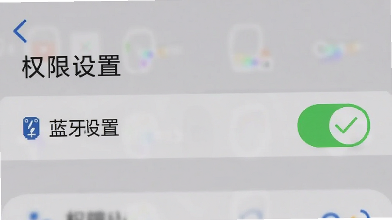 手机设置界面截图,显示蓝牙权限开关为开启状态,旁边有绿色对勾,背景模糊,文字清晰显示