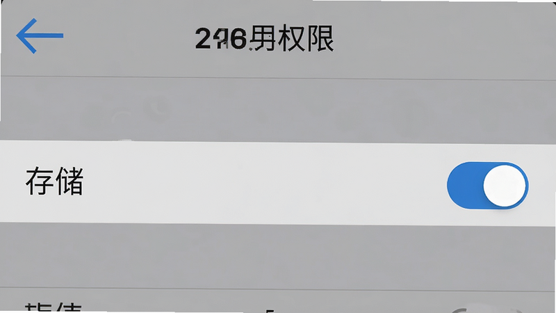 手机设置界面截图,显示“应用权限”管理页面,高亮显示“存储”权限开关,背景为系统默认灰色,界面清晰,字体可读性强,细节真实,4k画质,干净,无多余元素