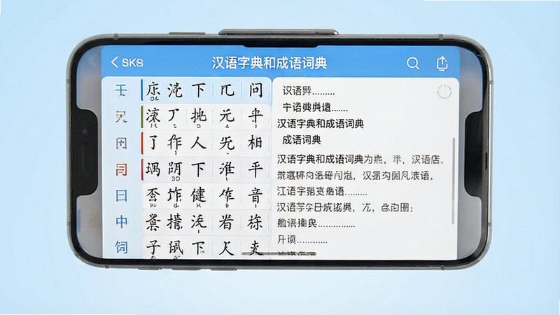 一张高清的智能手机界面展示图,屏幕显示“汉语字典和成语词典”APP主页,左侧为汉字列表,右侧为详细释义区域,背景为干净的浅蓝色渐变,主体清晰,布局工整,无多余装饰,8k分辨率,干净,无多余元素