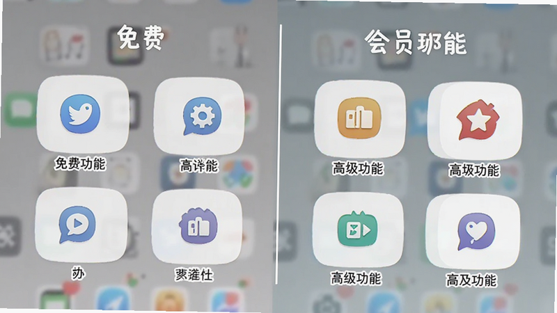 手机界面展示免费与会员功能对比,主体为应用内订阅页面,左侧列出免费功能图标,右侧列出付费高级功能图标,中间有分隔线,风格简洁明了,细节清晰,画质高清,无干扰