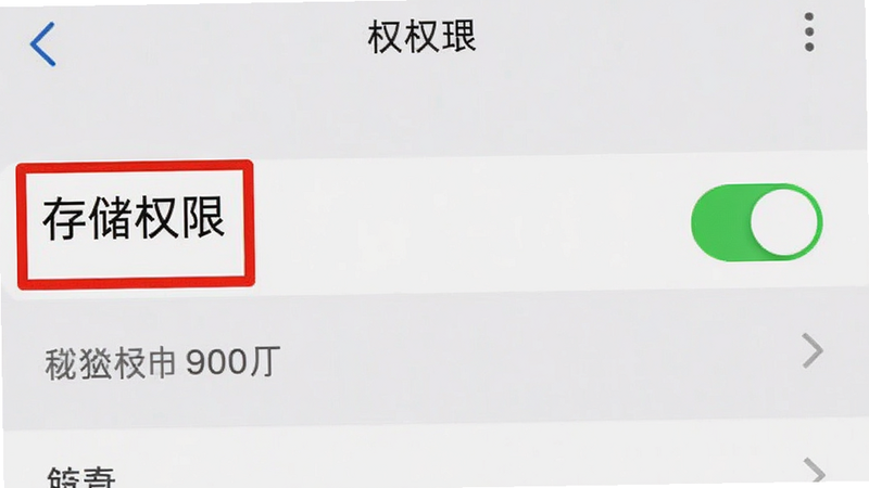 主体为手机设置界面截图,显示权限管理页面,存储权限开关处于开启状态,背景为浅色简洁UI,布局清晰突出权限选项,风格为系统原生风,细节展现开关的绿色状态,画质清晰,无广告干扰,文字