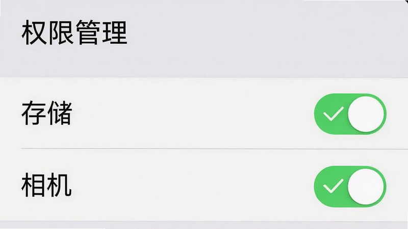 手机设置界面截图风格,显示“权限管理”选项,其中“存储”和“相机”权限开关处于开启状态,绿色对勾高亮,背景为浅灰色,布局清晰,文字清晰可读,画质高,干净,无多余元素