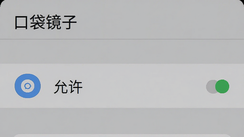 手机设置界面截图,显示“口袋镜子”的权限管理页面,摄像头权限状态为“允许”,背景为系统默认灰色,文字清晰,风格扁平化,细节准确,画质清晰,无多余元素