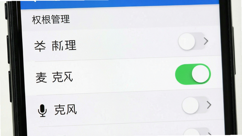 主体为手机设置界面,布局展示权限管理列表,排版纵向排列,风格为系统原生UI,细节高亮显示“麦克风”权限开关处于开启状态,画质清晰,干净,无多余元素