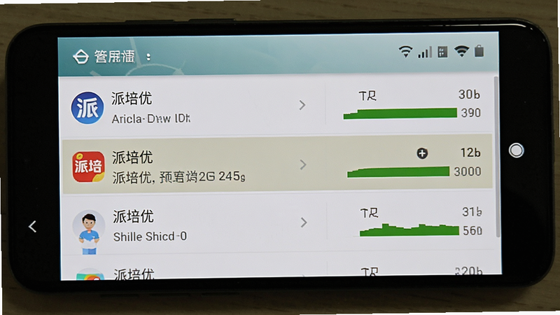安卓手机后台运行界面,主体为手机屏幕,显示应用管理列表,其中'派培优'进程被高亮显示,布局为列表式,排版清晰,风格为系统原生UI,细节展示内存占用条,画质高清,干净,文字'派培优'加引号