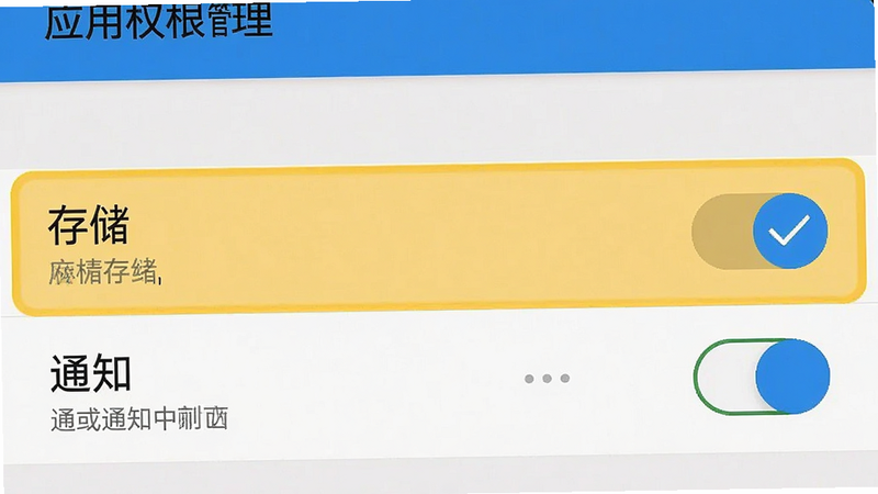 手机设置界面截图,显示应用权限管理页面,高亮显示“存储”和“通知”权限开关,布局清晰,风格系统原生,细节展示勾选状态,画质高清,干净,无多余元素