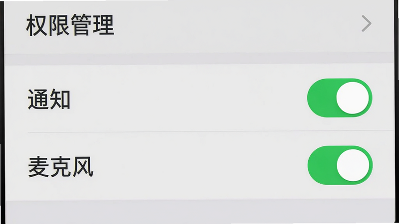 主体为手机设置权限界面的模拟图,高亮显示“通知”和“麦克风”两个开关处于开启状态,背景为手机系统设置列表,布局垂直排列,排版整齐,风格为系统原生UI风格,细节处有开关的绿色高亮,画质清晰,干净,无多余弹窗,画面中显示中文文字“权限管理”