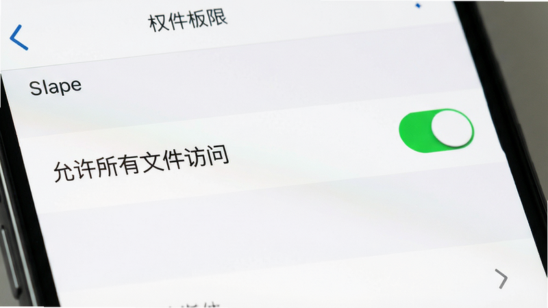 主体为手机设置界面,展示权限管理页面,背景白色,布局列表式,排版清晰,风格系统原生UI,细节包含“允许所有文件访问”开关和绿色对勾,画质高清,干净,无多余元素