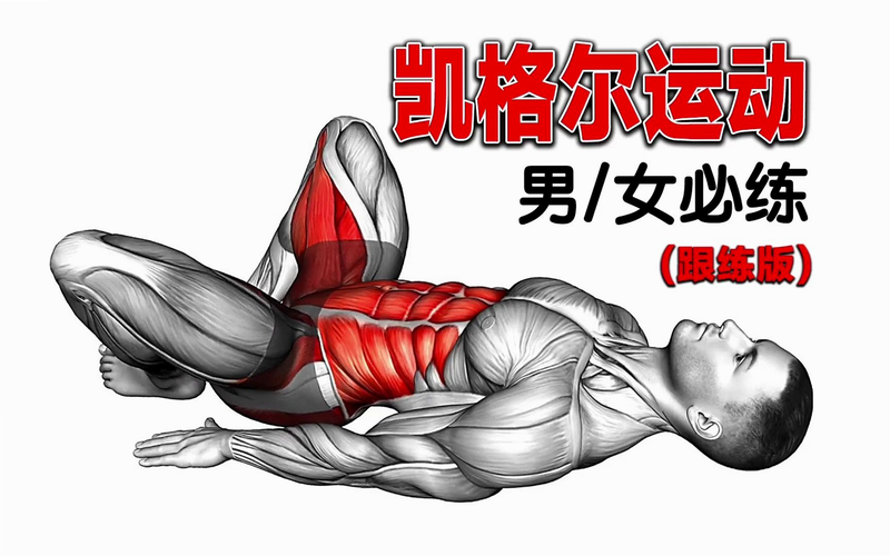 凯格尔运动跟练版 安卓版 训练效果