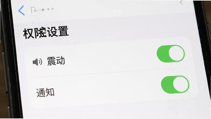 主体为手机设置界面截图,显示凯格尔运动跟练版APP的权限管理页面,布局清晰,高亮显示“震动”和“通知”权限开关,风格简洁UI设计,细节包含勾选状态,画质清晰,干净,无多余元素,文字显示