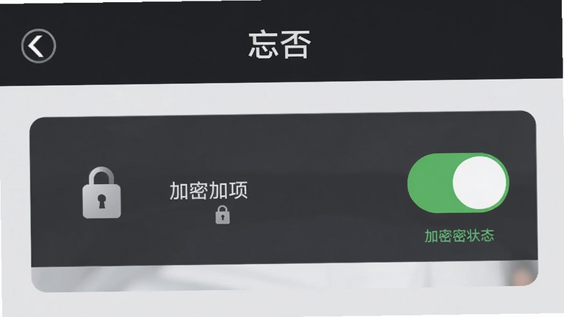 主体为“忘否”应用的安全设置界面,布局展示加密选项开关,排版规整,风格专业严谨,细节展示锁形图标与加密状态标识,画质清晰,干净,无多余元素