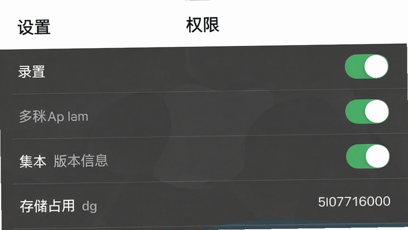 主体为多米街App设置与权限界面,布局为列表式,排版清晰,风格简洁,细节包含权限开关、版本信息、存储占用显示,画质清晰,干净,无多余元素,文字包含