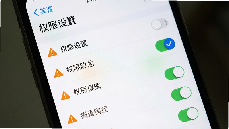主体为手机设置界面截图,布局显示权限开关列表,风格为系统原生UI,细节展示勾选状态与警示图标,画质清晰,干净,无多余元素,文字“权限设置”