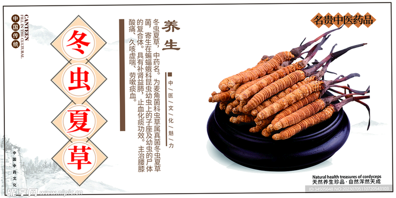 智行界 安卓版 夜间模式 界面预览