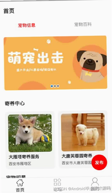 养宠物游戏截图4