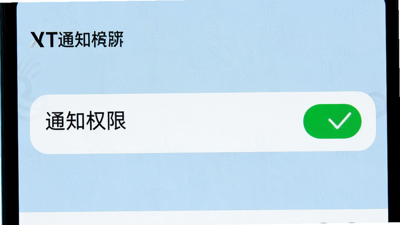 一张手机设置页面截图,显示“通知权限”已开启,旁边有一个绿色的对勾图标。背景为浅蓝色,文字清晰可见,风格现代,细节精致,画质清晰,无杂乱元素
