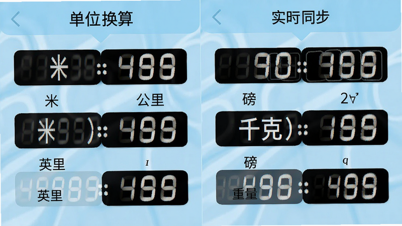 主体为