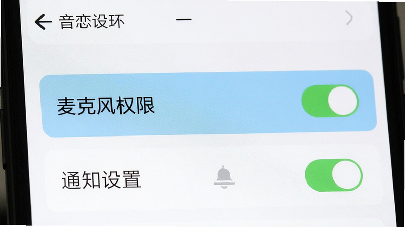 主体为音恋CP手机端设置界面特写,布局为垂直列表,高亮显示“麦克风权限”与“通知设置”选项,背景为白色,风格为简洁明了,细节处开关状态为开启,画质清晰,干净,无多余元素