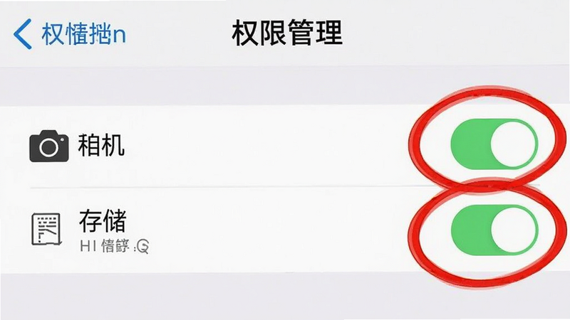 手机设置界面截图,显示“权限管理”页面,相机和存储权限开关处于开启状态,红色高亮圈出,界面清晰,无多余元素