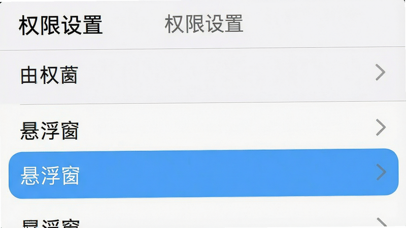手机设置界面截图,显示权限管理列表,布局为列表样式,风格为系统原生UI,细节高亮“悬浮窗”选项,画质清晰,干净,文字“权限设置”位于顶部