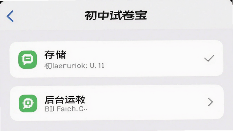 主体为手机设置界面截图,展示“初中试卷宝”的权限管理页面,布局突出存储与后台运行选项,排版清晰,风格为系统原生风,细节显示已授权的权限图标,画质清晰,干净,无多余元素