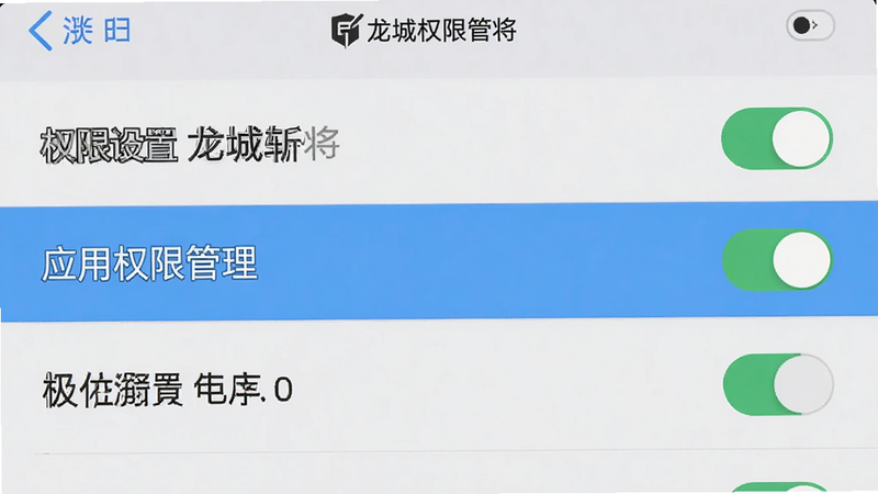 主体为手机设置界面截图,布局为列表形式,高亮显示“应用权限管理”选项,背景为浅灰色,排版清晰易读,风格为扁平化UI设计,细节展示开关按钮状态,画质清晰,干净无广告,文字包含“权限设置 龙城斩将”