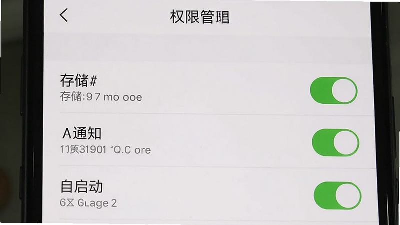 主体为手机设置界面截图,展示“我的丹阳”APP的权限管理页面,布局为列表式排列,风格为系统原生UI风格,细节突出存储、通知、自启动开关状态,画质清晰,干净无杂质,文字“权限管理”清晰