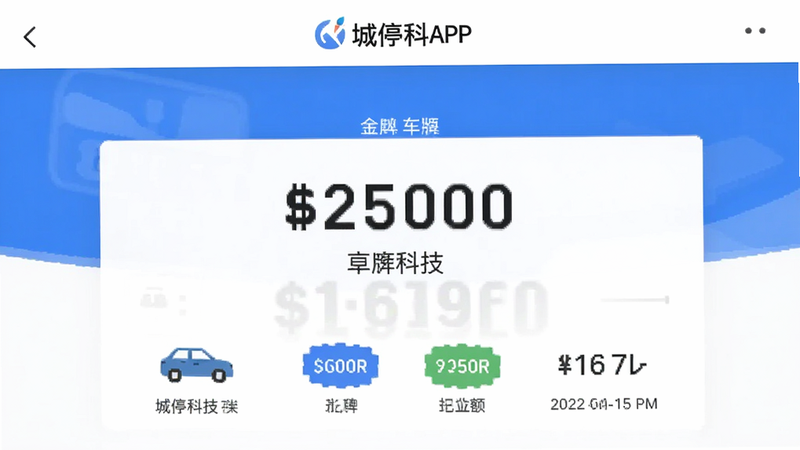 主体为城停科技APP的缴费页面截图,布局中心突出显示金额与车牌,排版对称,风格简洁商务,细节包含支付图标与时间戳,画质清晰,干净,无多余元素