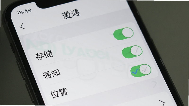 一张手机设置界面的示意图,展示“漫遇”APP的权限管理页面。画面中清晰列出“存储”、“通知”、“位置”等权限开关,背景为浅灰色,布局整齐,文字清晰。风格简洁实用,细节处有勾选标记,画质清晰,无多余装饰,聚焦于权限设置操作。