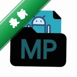 MP Manager