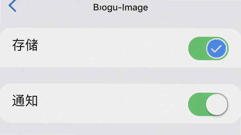 Boogu-Image: 主体为手机设置界面截图,显示“存储”和“通知”权限开关,布局清晰,排版标准,风格简洁实用,细节处有勾选标记,画质高清,干净,无多余元素